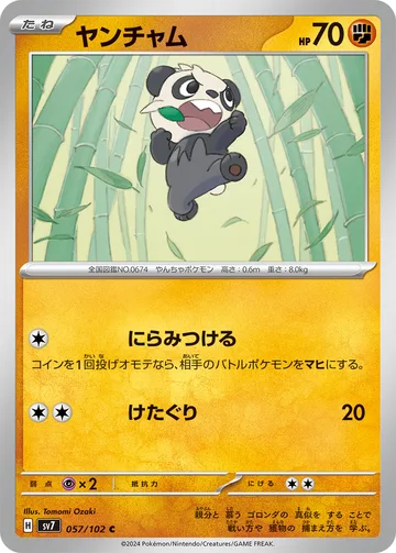 ヤンチャム C