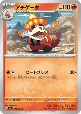 アチゲータ C