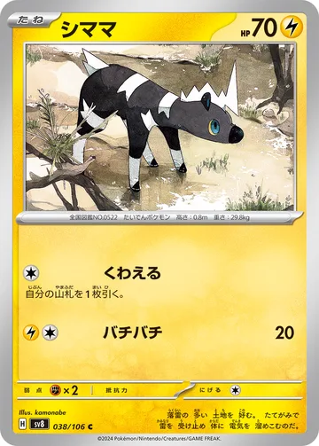 シママ C