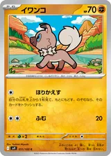 イワンコ C