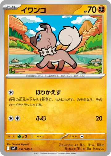 イワンコ C