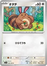 オタチ C