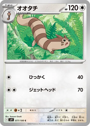 オオタチ C