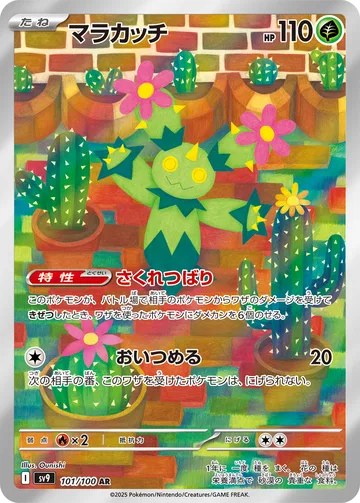 マラカッチ AR