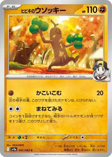 ヒビキのウソッキー C