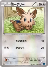 ヨーテリー C