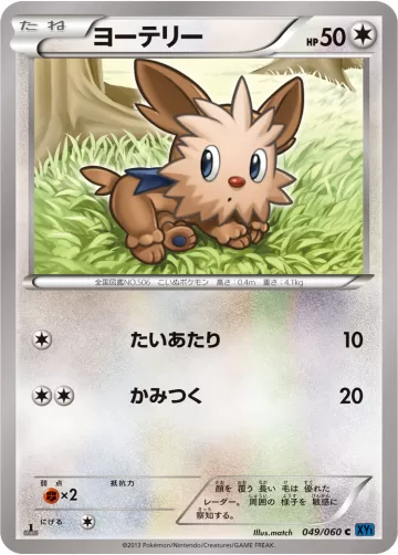 ヨーテリー C