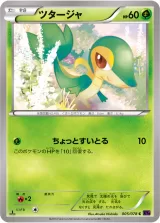 ツタージャ C