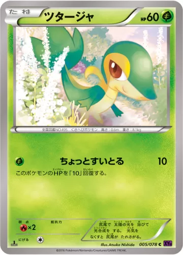 ツタージャ C