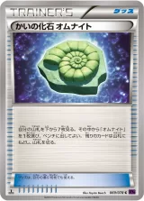 かいの化石 オムナイト C