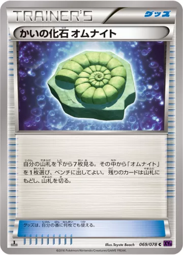 かいの化石 オムナイト C