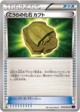 こうらの化石 カブト C
