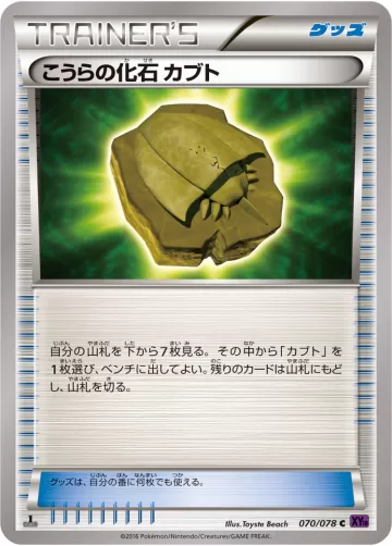 こうらの化石 カブト C
