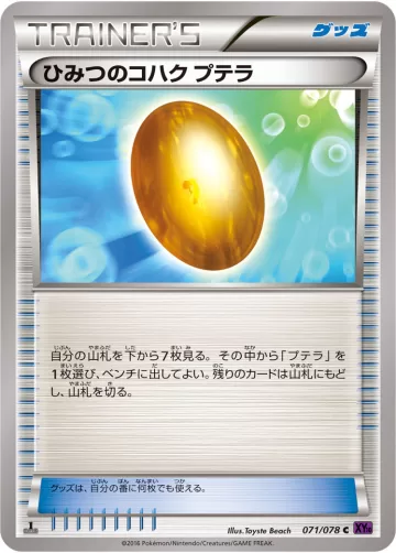 ひみつのコハク プテラ C