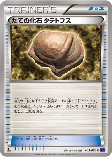 たての化石 タテトプス C