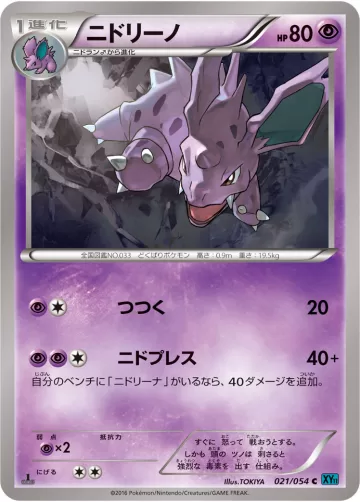 ニドリーノ C
