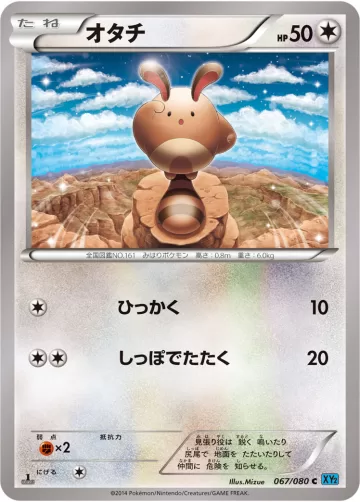 オタチ C