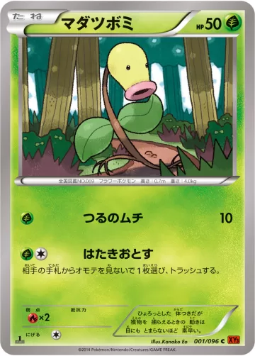 マダツボミ C