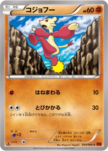 コジョフー C