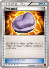 アゴの化石 C