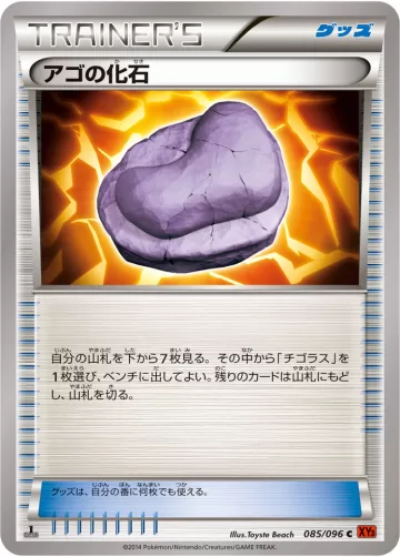 アゴの化石 C