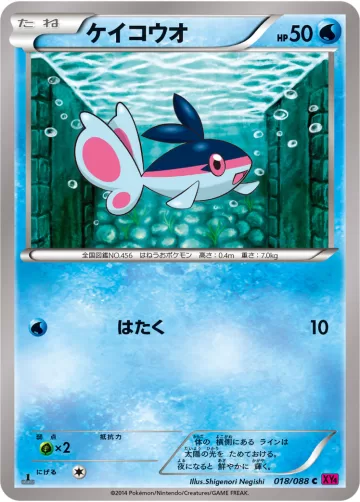ケイコウオ C