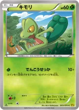 キモリ C