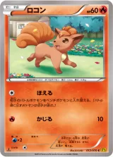 ロコン C