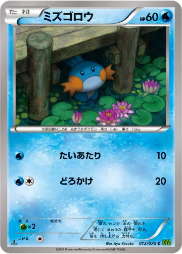 ミズゴロウ C