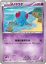 メノクラゲ C