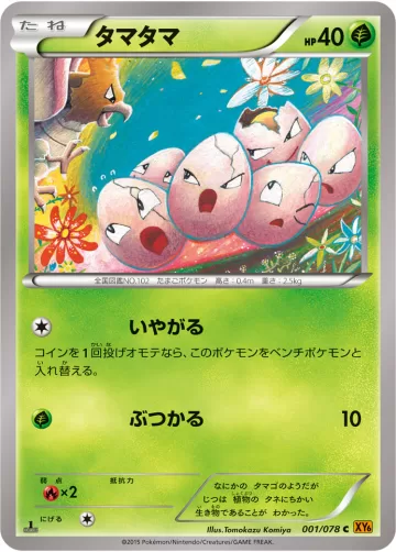 タマタマ C