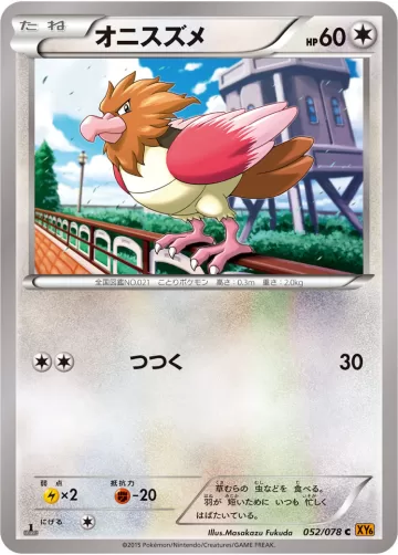 オニスズメ C