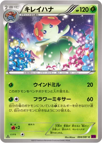 キレイハナ C