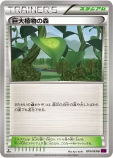 巨大植物の森 U