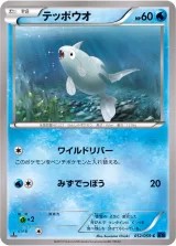 テッポウオ C