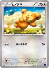 ヒメグマ C