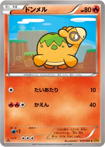 ドンメル C