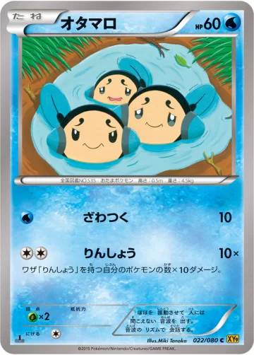 オタマロ C