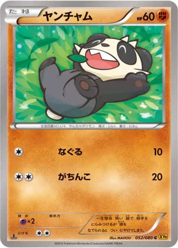 ヤンチャム C