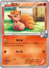 ロコン PROMO