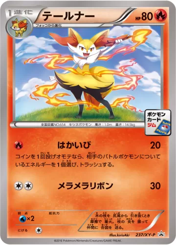 テールナー PROMO
