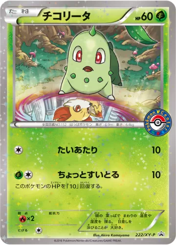 チコリータ PROMO