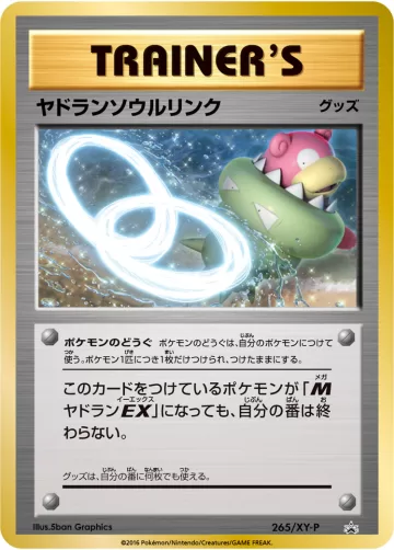 ヤドランソウルリンク PROMO