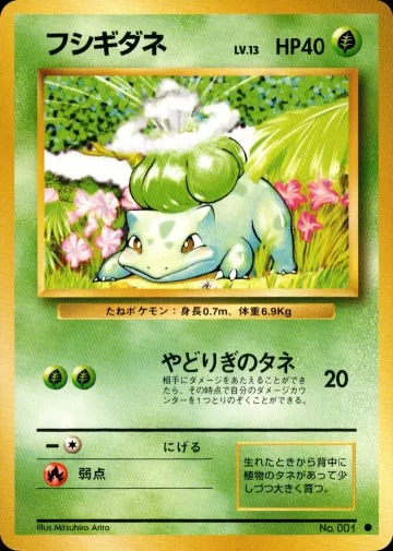 フシギダネ C