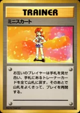 ミニスカート R