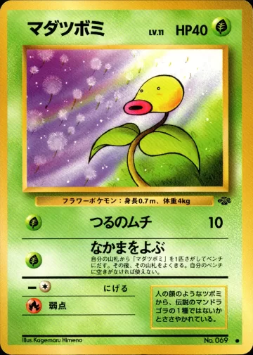 マダツボミ C