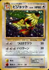 ピジョット R