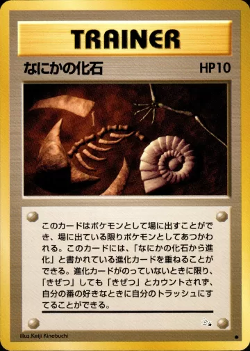 なにかの化石 C