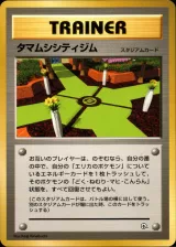 タマムシシティジム