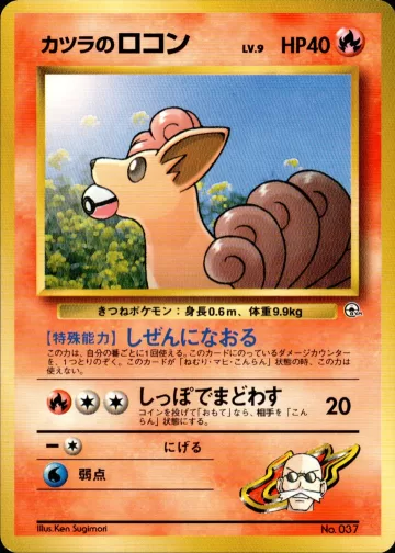 カツラのロコン